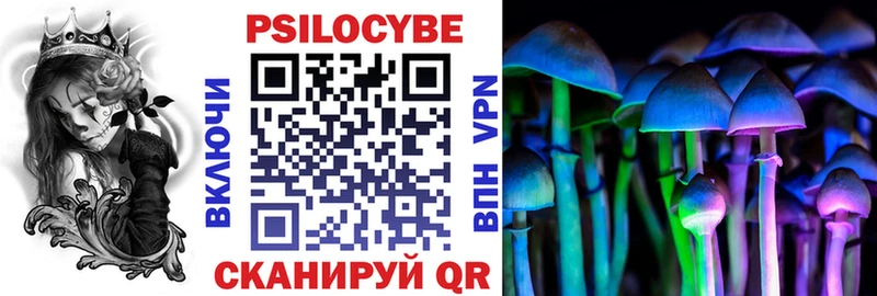 кракен вход  купить наркоту  Выкса  Галлюциногенные грибы Psilocybe 